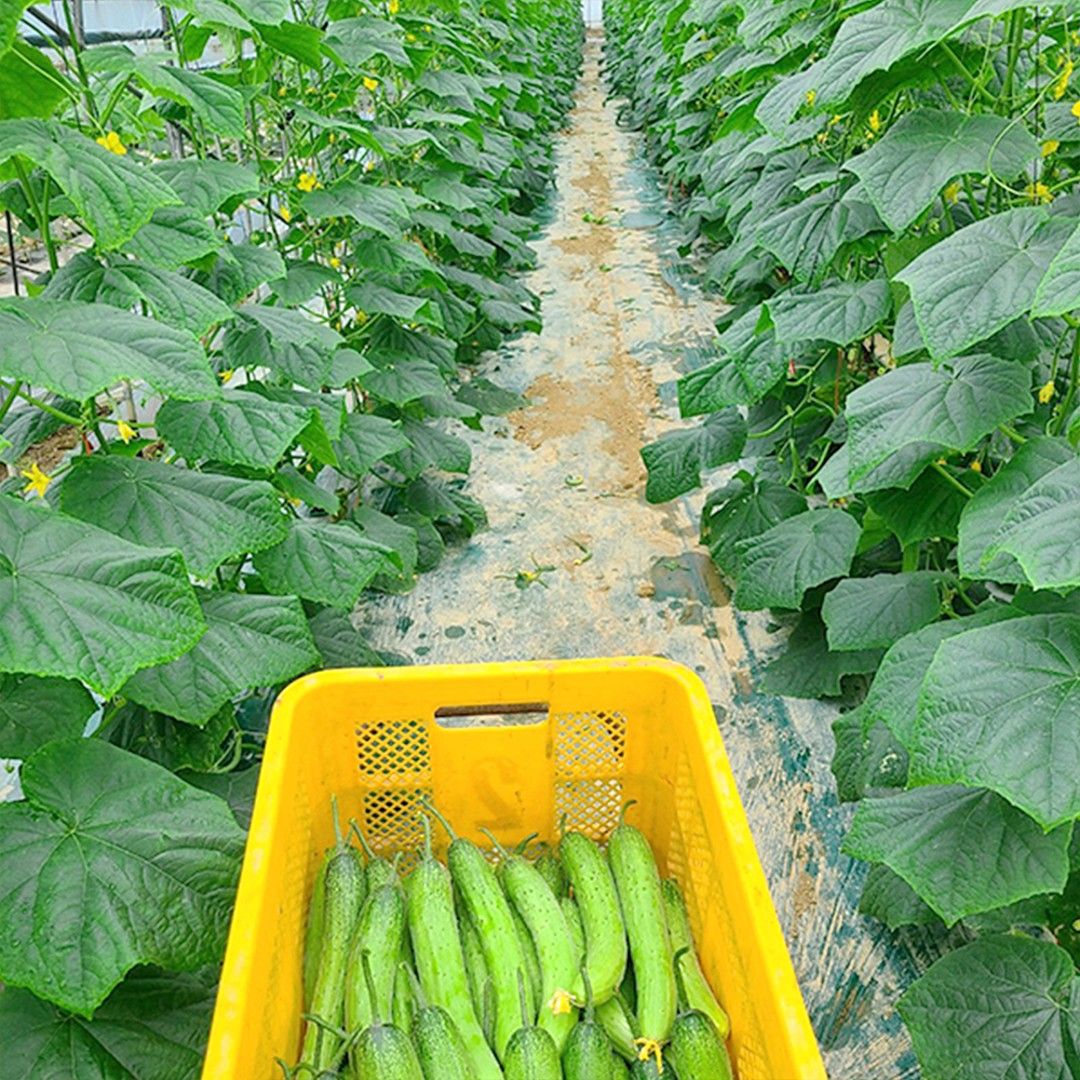 이야기 사진입니다.