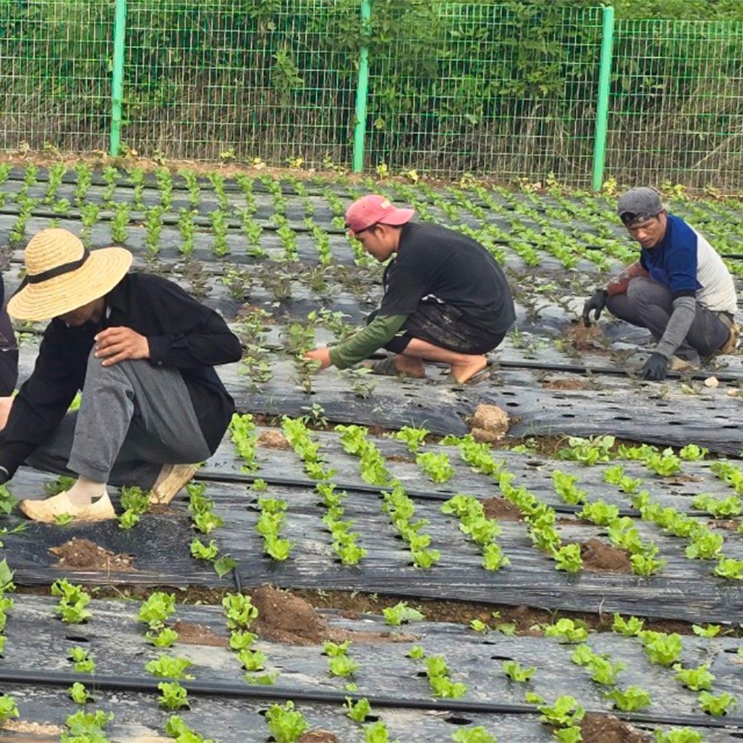 이야기 사진입니다.