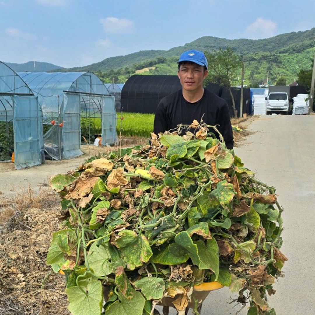 오늘은 마음 속에 큰 결단을 내린 날입니다
