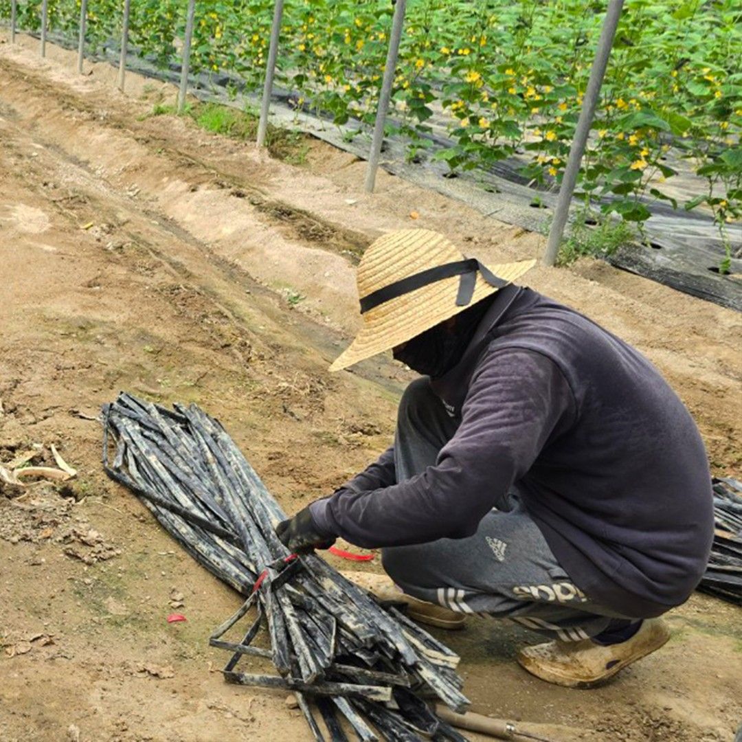 이야기 사진입니다.