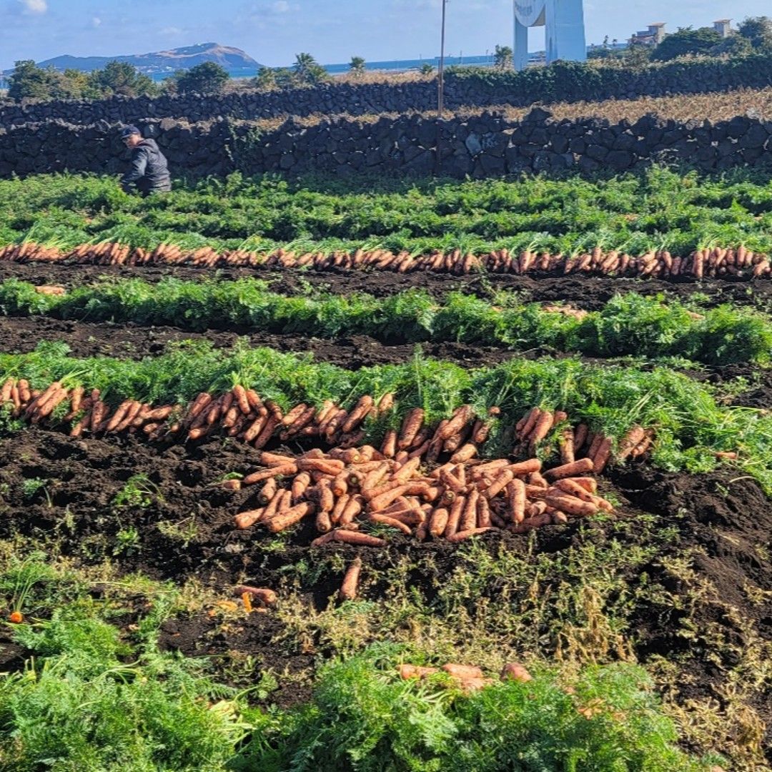 이야기 사진입니다.