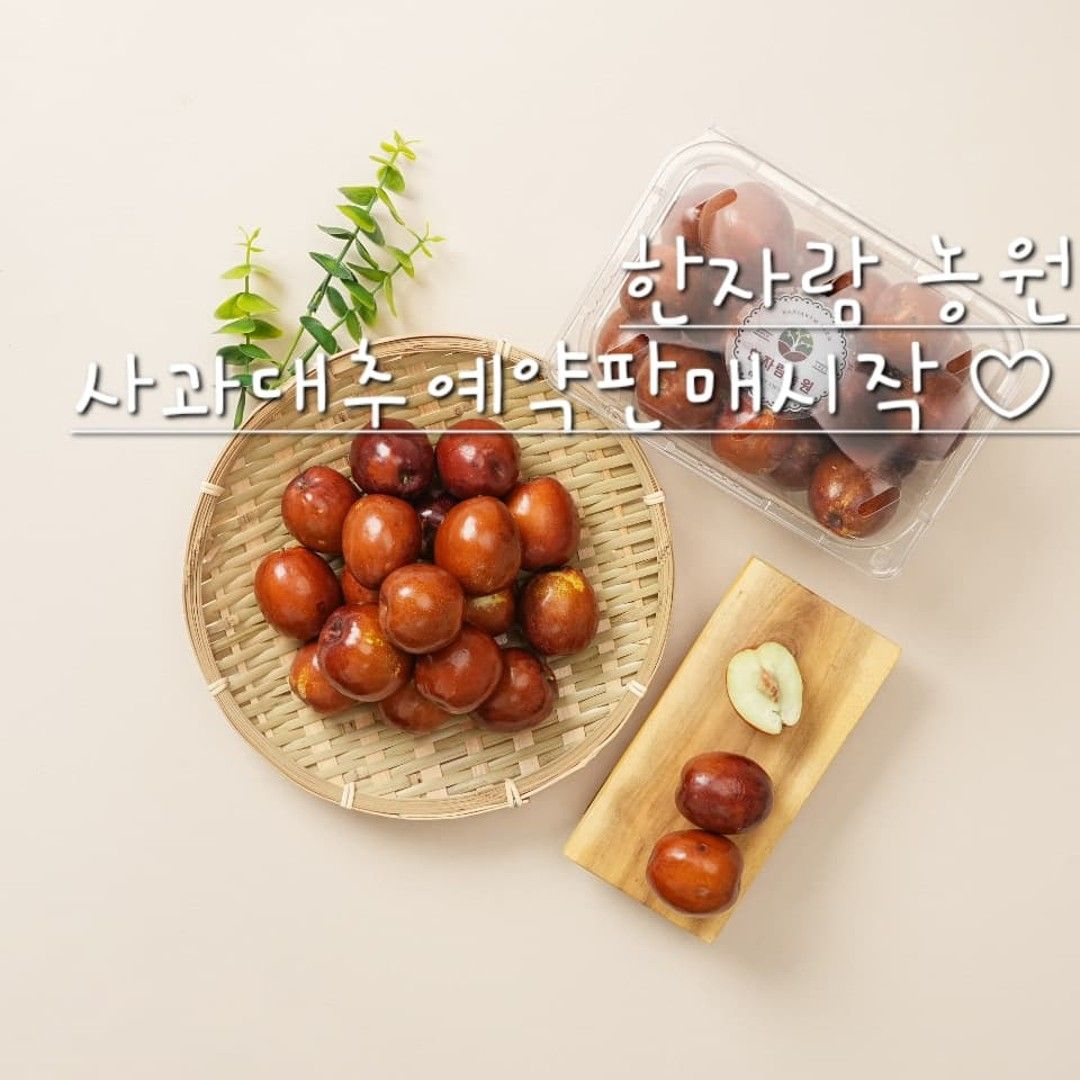 (예약판매) 안녕하세요.한자람농원입니다.
