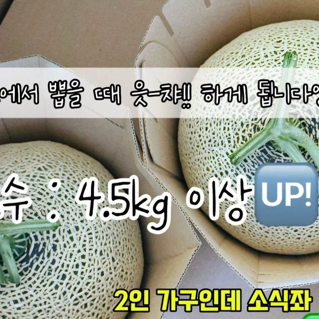 이야기 사진입니다.