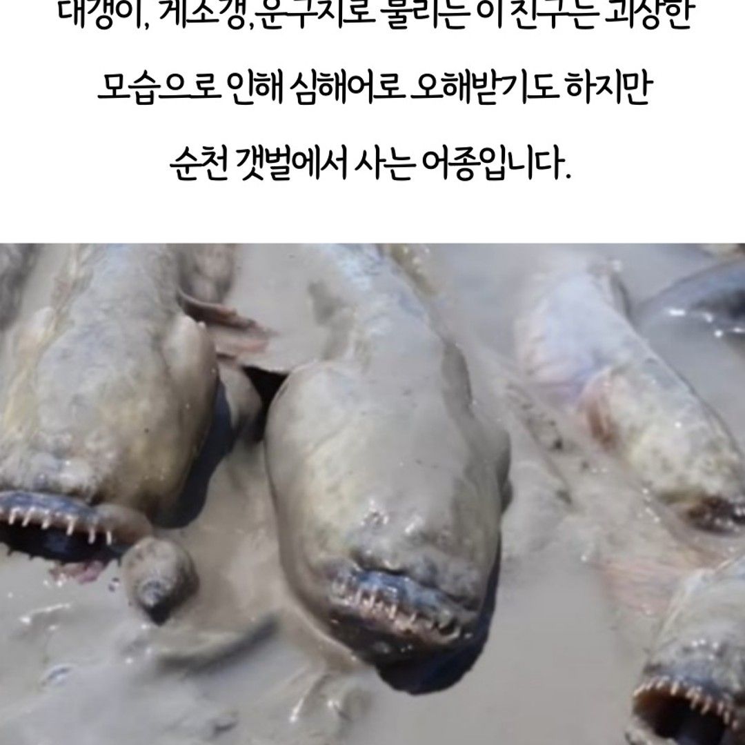 이야기 사진입니다.