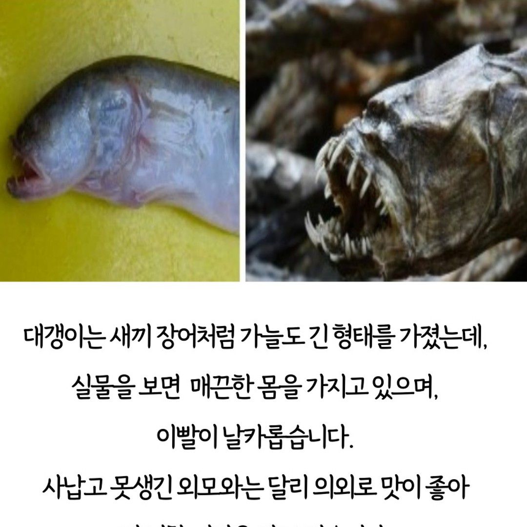 이야기 사진입니다.