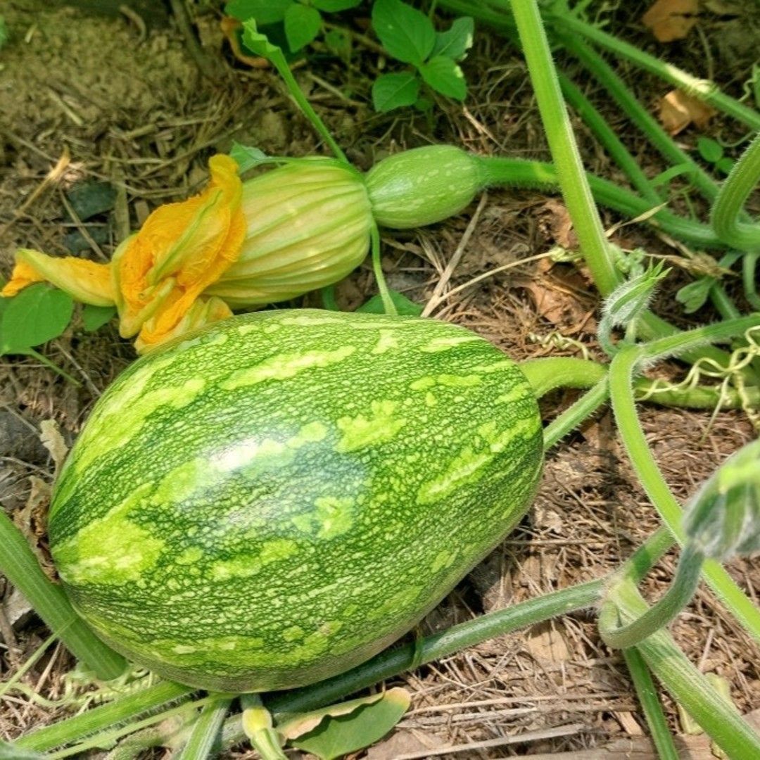 이야기 사진입니다.