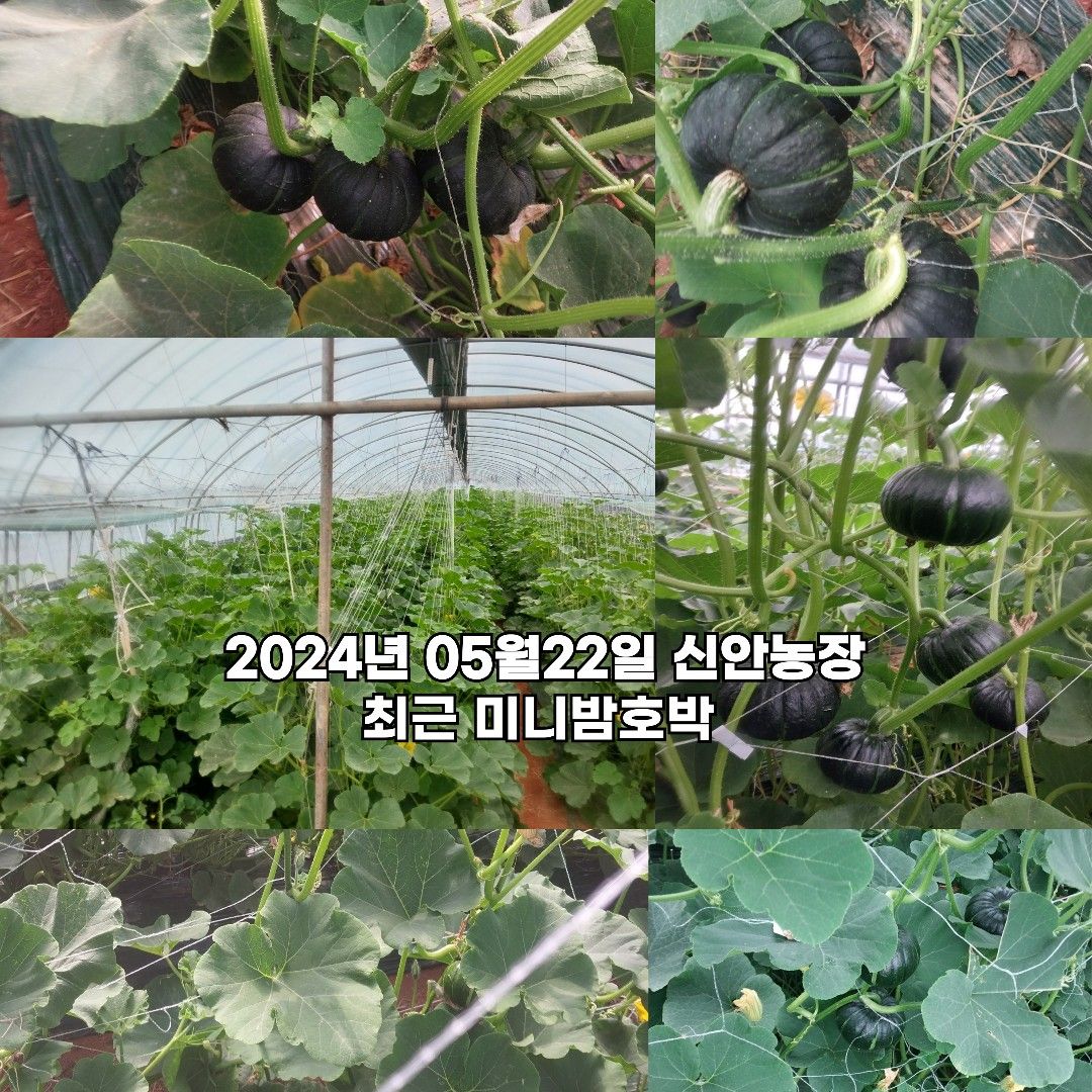 이야기 사진입니다.