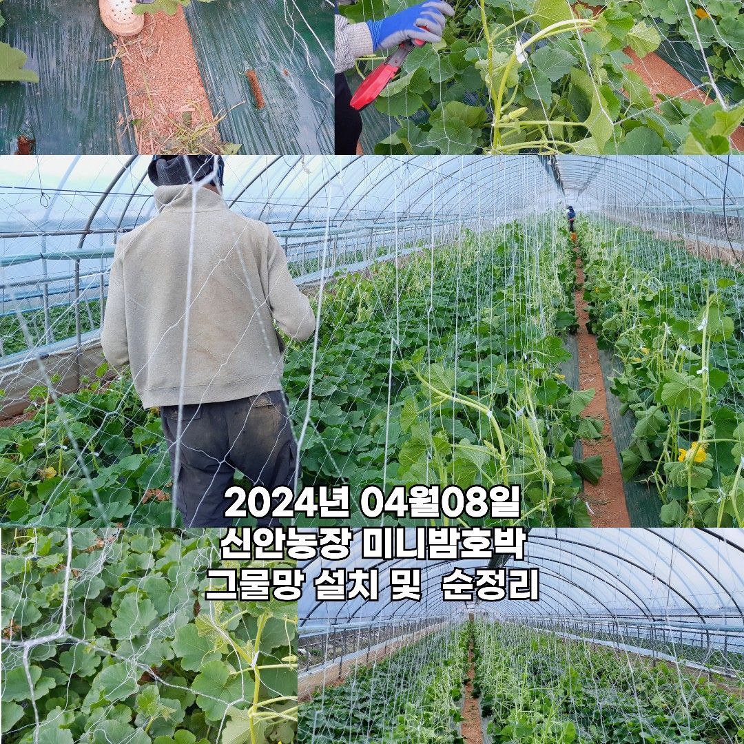 이야기 사진입니다.