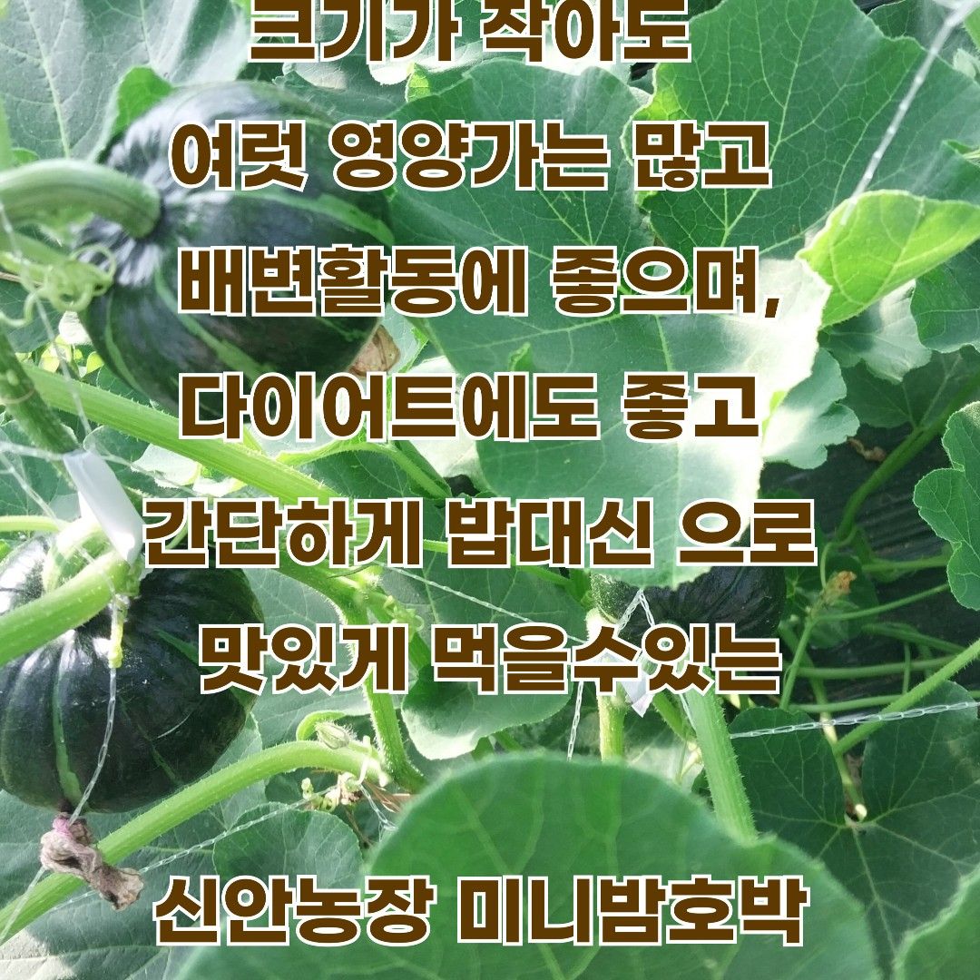 이야기 사진입니다.