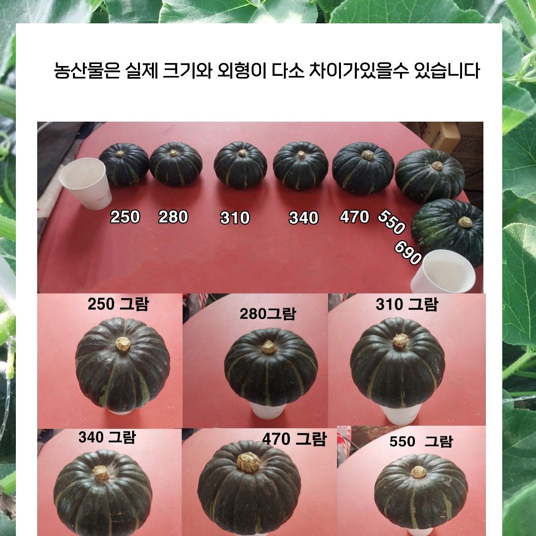 이야기 사진입니다.