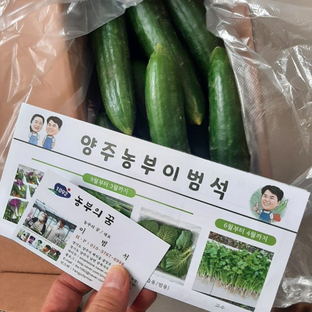 샐러드로 너무 잘 먹고 있습니다.
품절이 되기 전까지는 계속 주문할