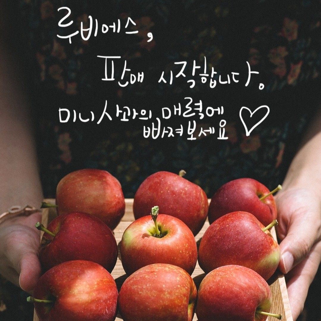 ❤️루비에스 판매시작합니다❤️
⭐️미니사과 2kg⭐️