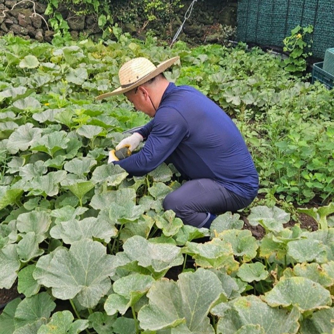 이야기 사진입니다.