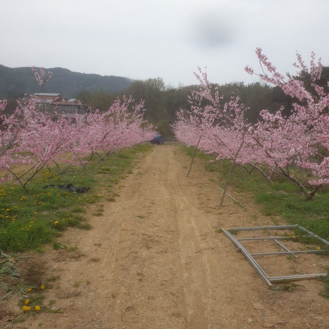 이야기 사진입니다.