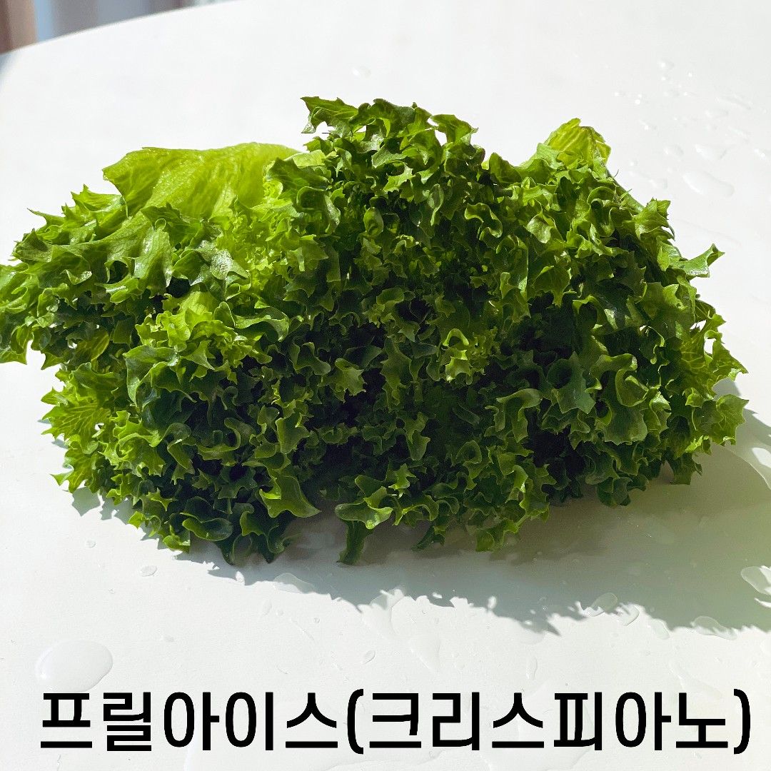 이야기 사진입니다.