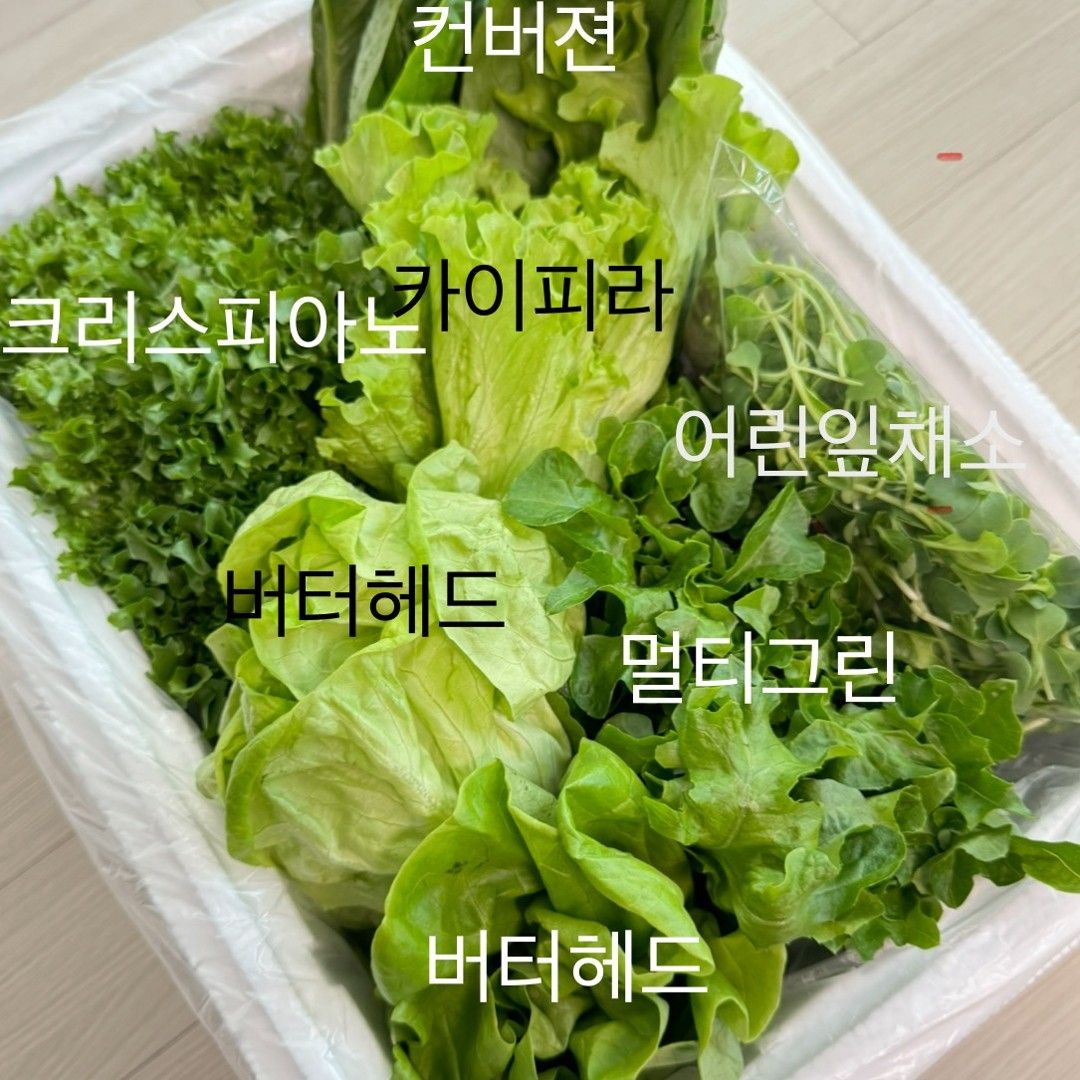 이야기 사진입니다.