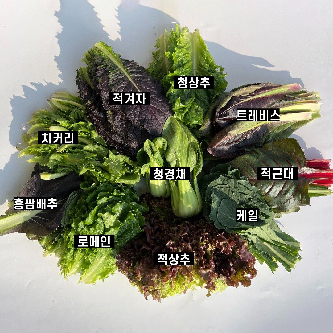 이야기 사진입니다.