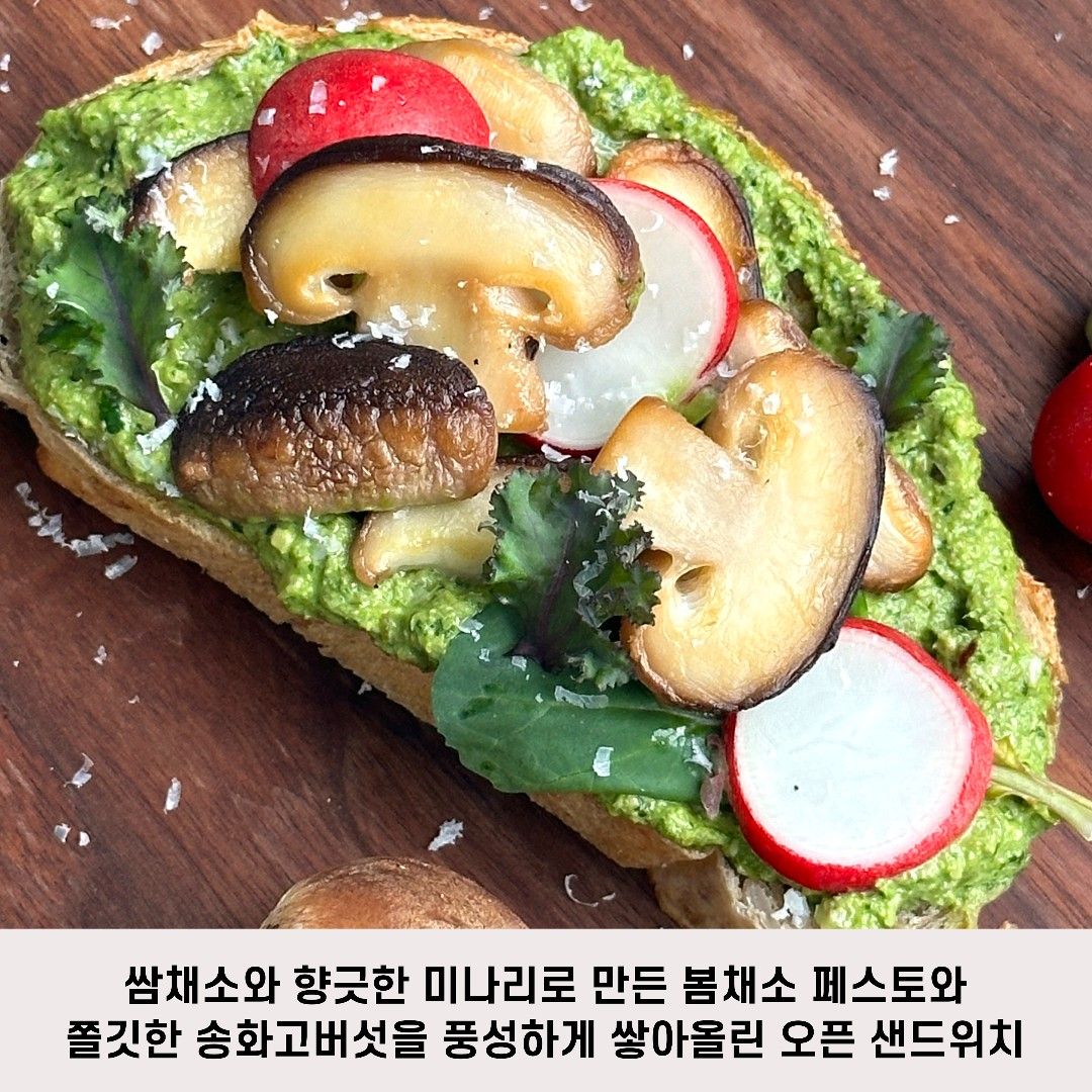 이야기 사진입니다.