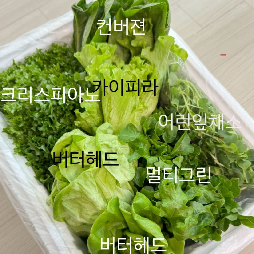 이야기 사진입니다.