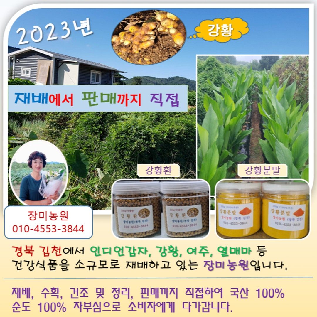 경북 김천에서 강황 인디�언감자 등 재배하는 장미농원입니다
